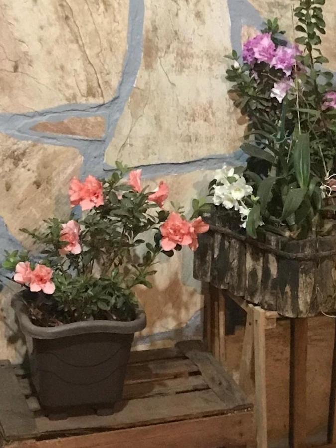 Hotel Pousada Cama & Cafe Paracatu Zewnętrze zdjęcie