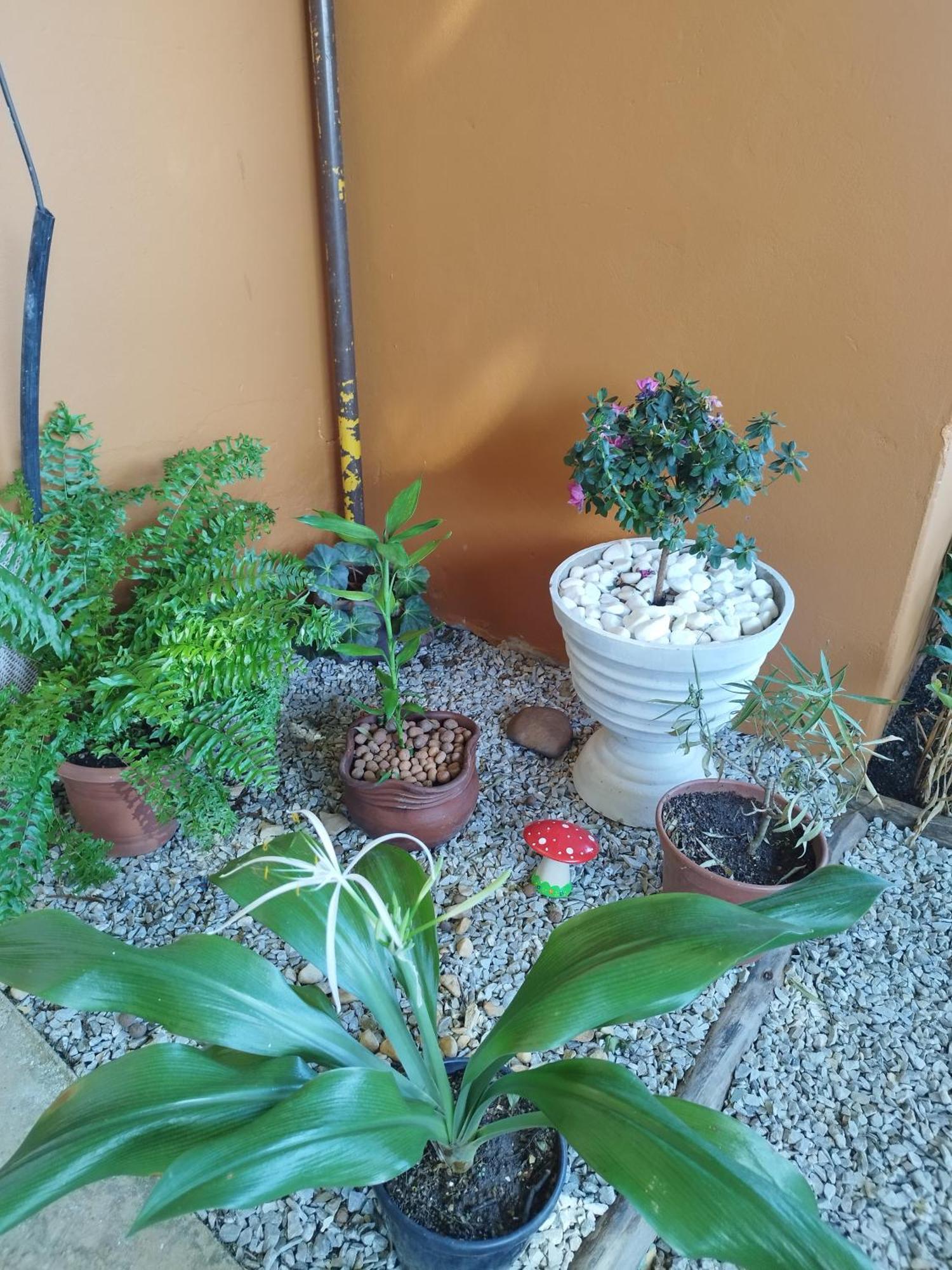 Hotel Pousada Cama & Cafe Paracatu Zewnętrze zdjęcie